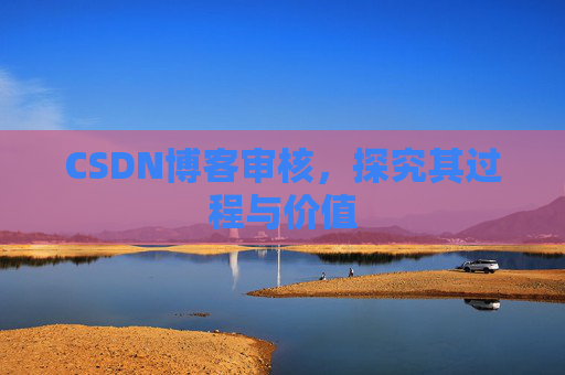 CSDN博客审核,探究其过程与价值